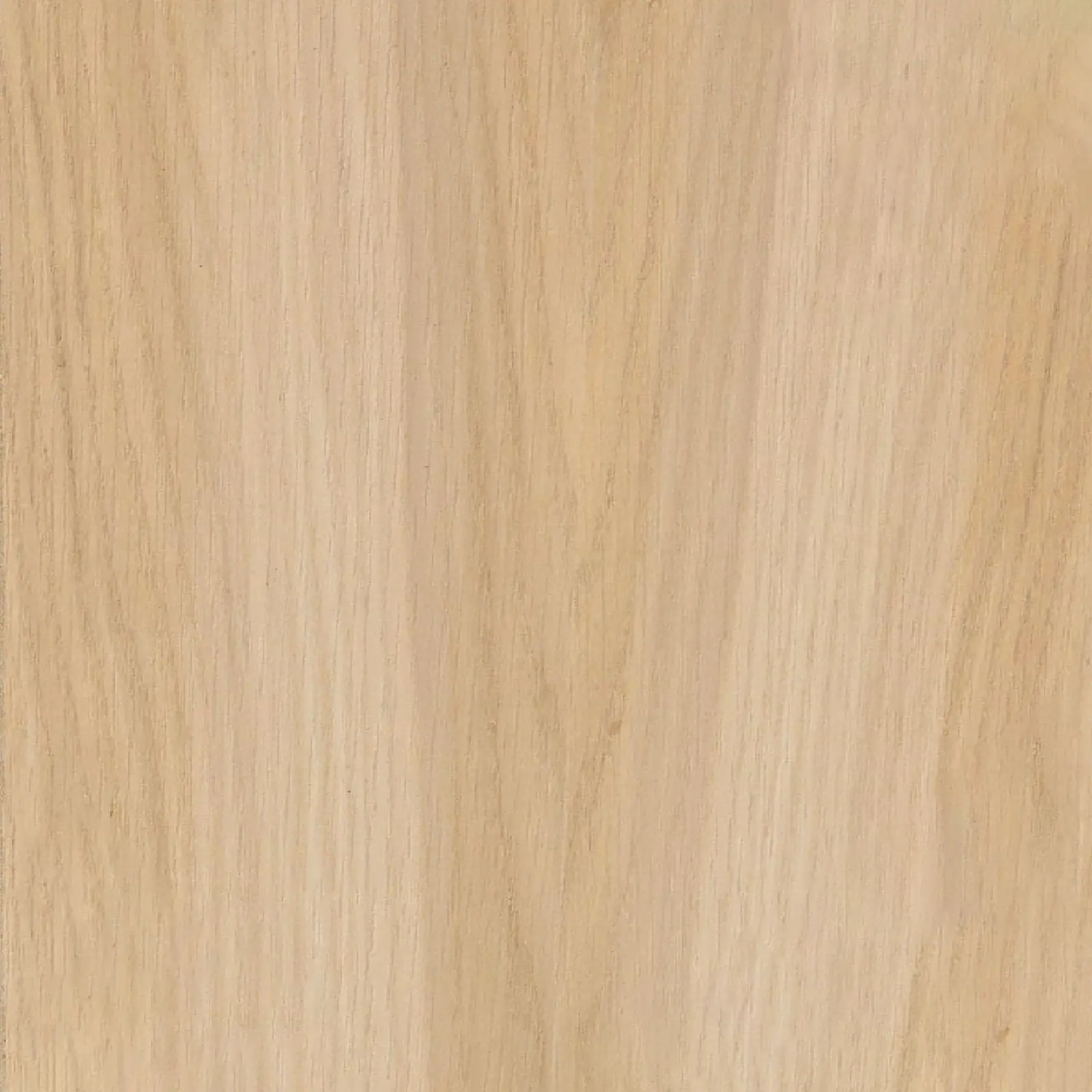 Plywood Flat cut (FS) White Oak, Front A / Back 4, Plank Effect PLE Assembled,  with Particle core (PC), 5/8" x 48-1/2" x 120-1/2". 023683.
