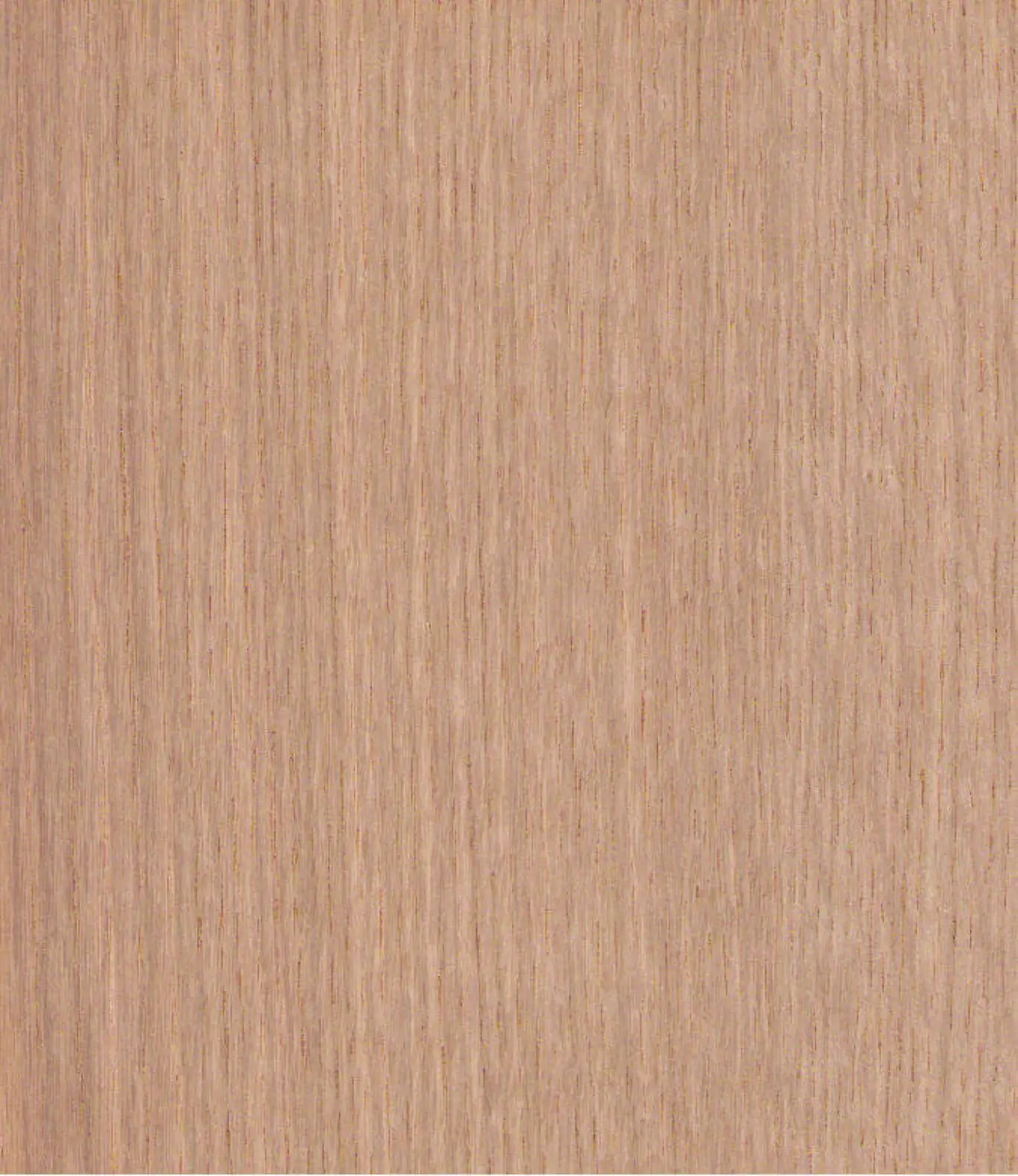 Plywood Rift cut (RF) White Oak, Front A / Back A, Book Match BM Assembled,  with Veneer core (VC), 3/4" x 48-1/2" x 120-1/2". 026605.