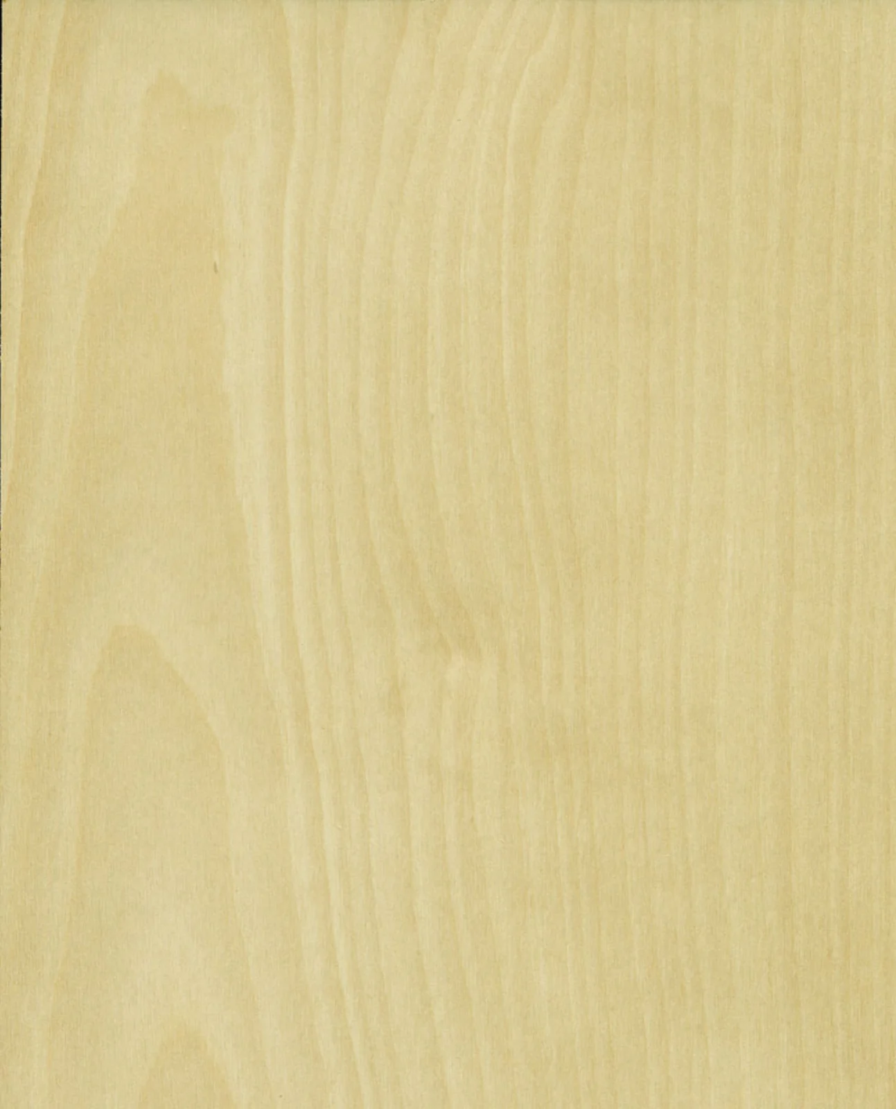 Plywood, Rotary cut (RC) Birch, Front Prestige / Back Melamine White,  with Particle core (PC), 5/8" x 48-1/2" x 96-1/2". 012919.
