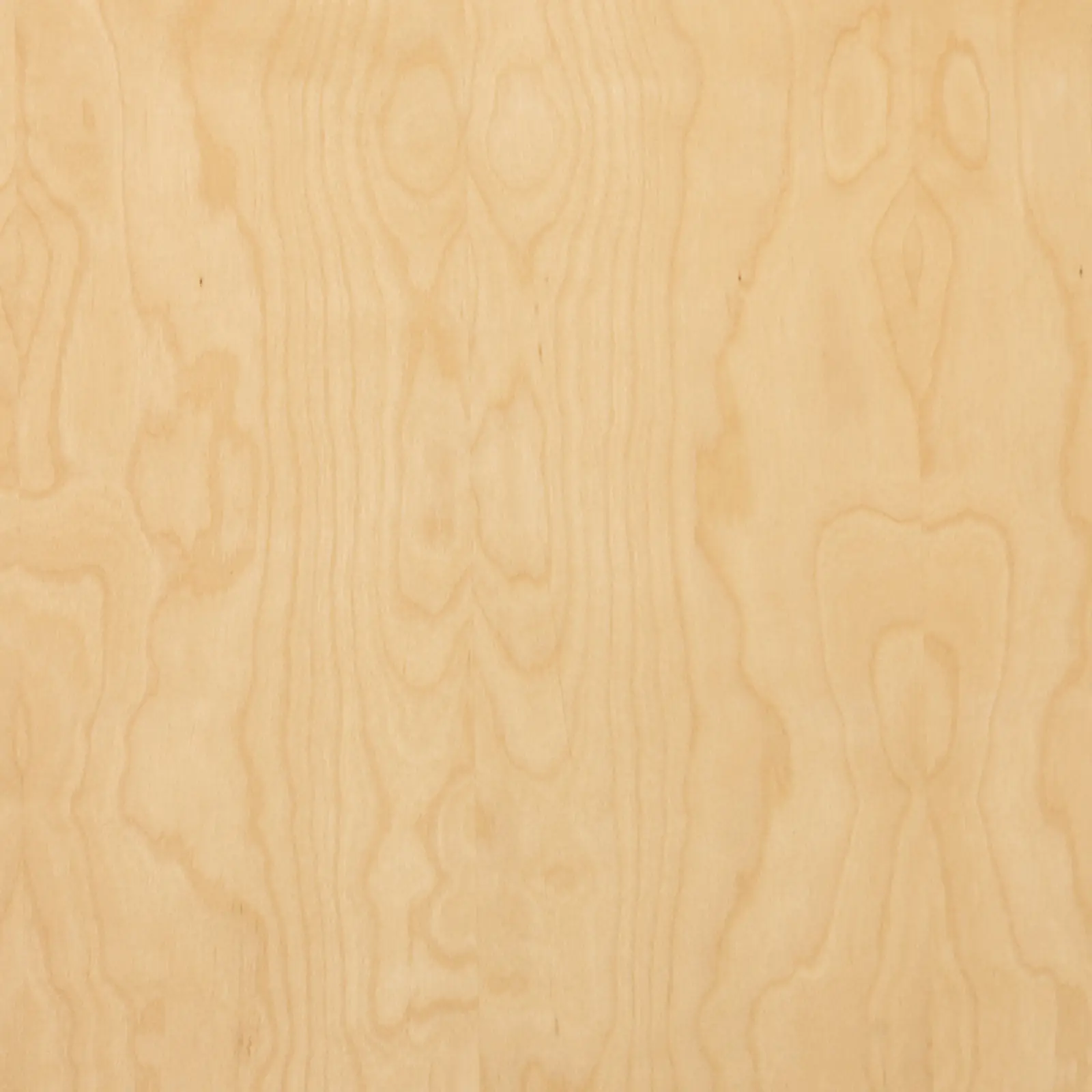 Birch Plywood, Garnica, Globulus / Globulus,  12mm x 48" x 96". 561040.