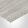 WB2